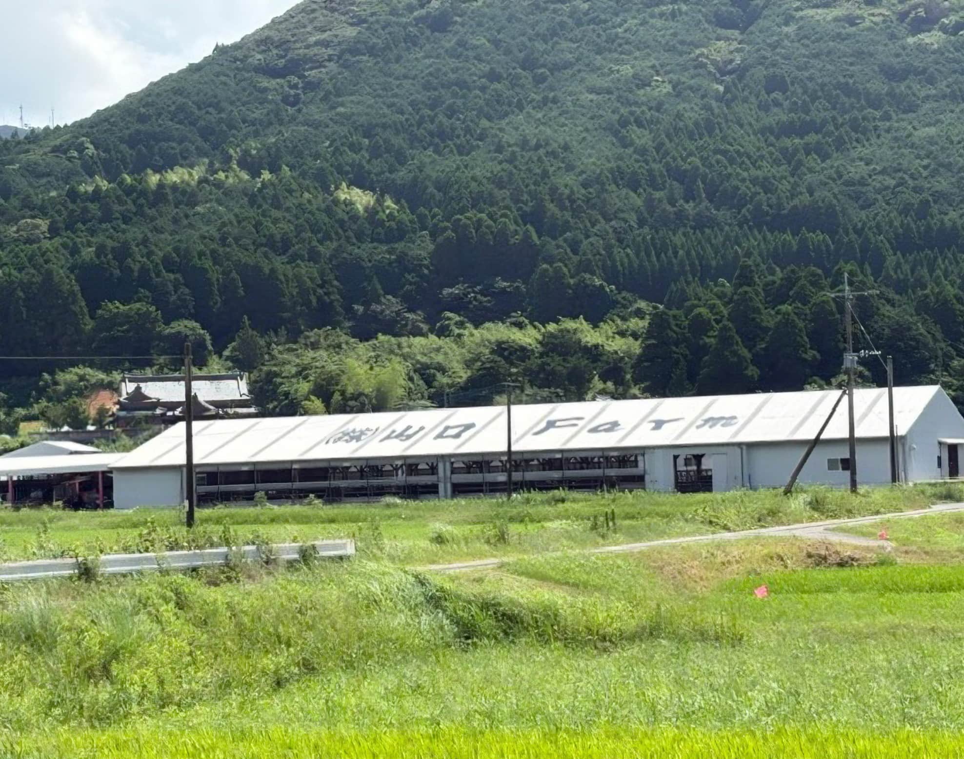 山口Farm様の牛舎外観写真